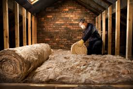 Best Blown-In Insulation  in Joseph City, AZ